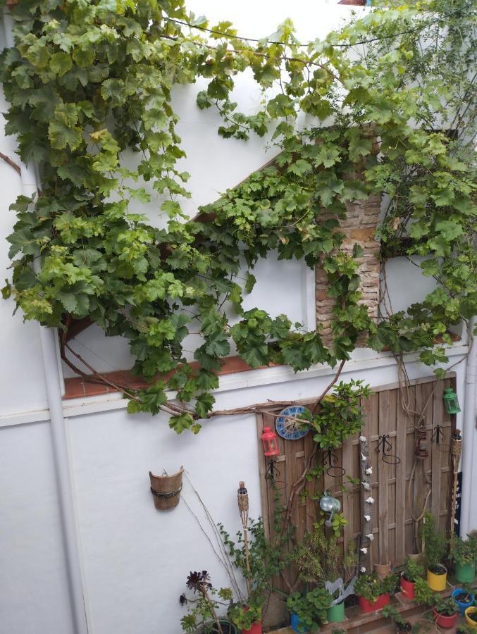 Apartamento Eg17 Arcos de la Frontera Kültér fotó
